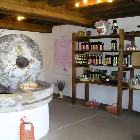 Hébergement de vacances Villafranche 6 Personen